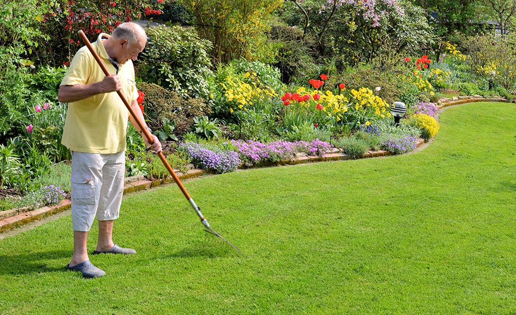 Customized Landscaping Services to Match Your Vision